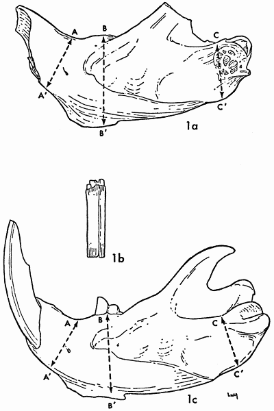 Figs. 1a-1c.