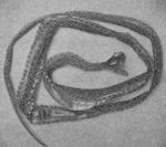 Black Snake