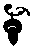 acorn