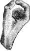 see text