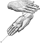 see text