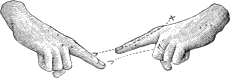 see text
