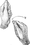 see text