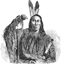 see text