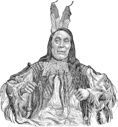 see text