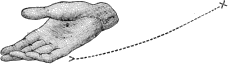 see text