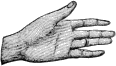 see text