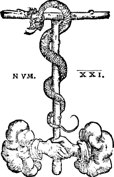 NVM. XXI. brazen serpent with text NVM. XXI.