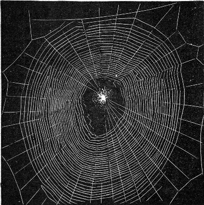 Fig. 38.