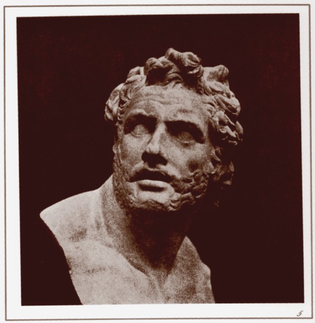 PLATE V. BUST OF PATROCLUS. PLATE V. BUST OF PATROCLUS.