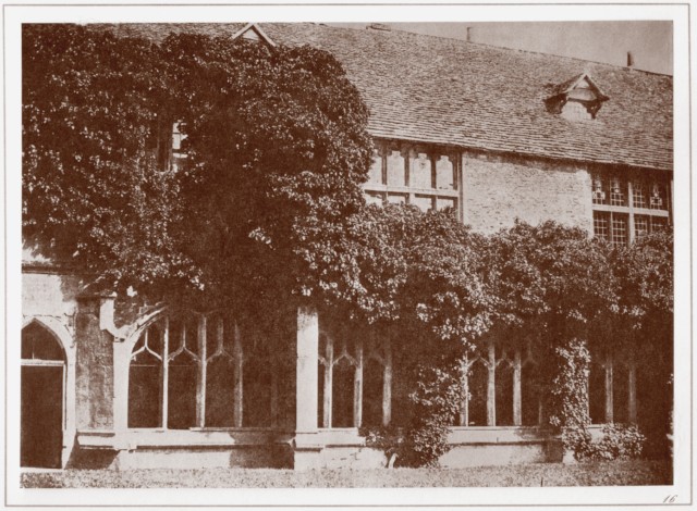PLATE XVI. CLOISTERS OF LACOCK ABBEY. PLATE XVI. CLOISTERS OF LACOCK ABBEY.