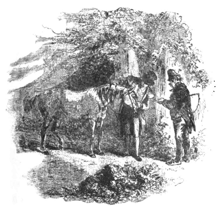 050
