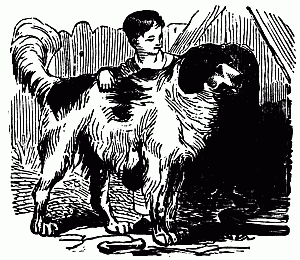 Frankie and the dog