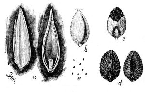 Fig 14.