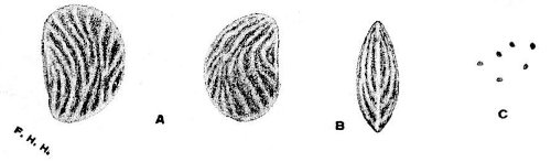 Fig 105.