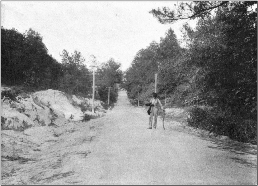 Sand Clay Road in Richland County, South Carolina