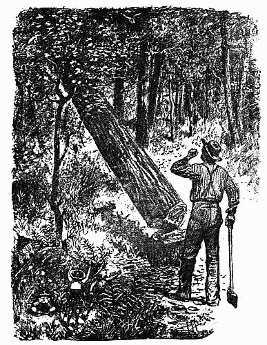 Fig. 1.—The Forest Monarch's Fall. The Brownie's Grief and Anger Thereat.