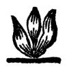 flame logo