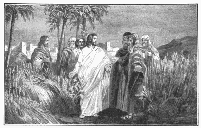 Christ Reproving The Pharisees. "For the Son of man is Lord even of the Sabbath day." Matt. 12:8. Illustration.