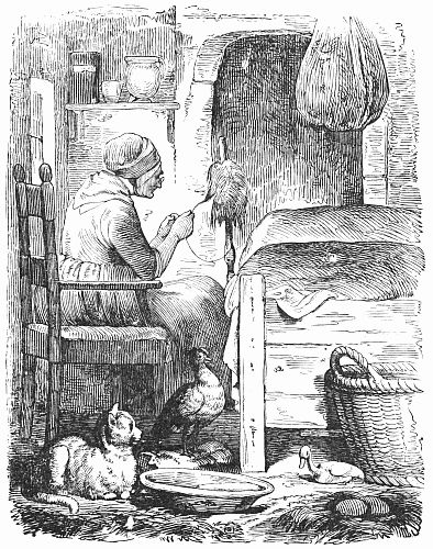 The Old Woman, the Cat, the Hen and the Duckling in the hut.