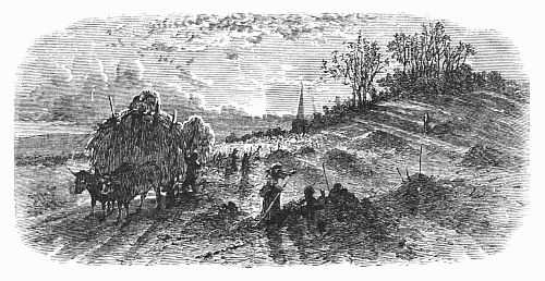 Sunrise over the fields, farmers at work.