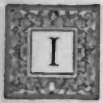 Decorative I