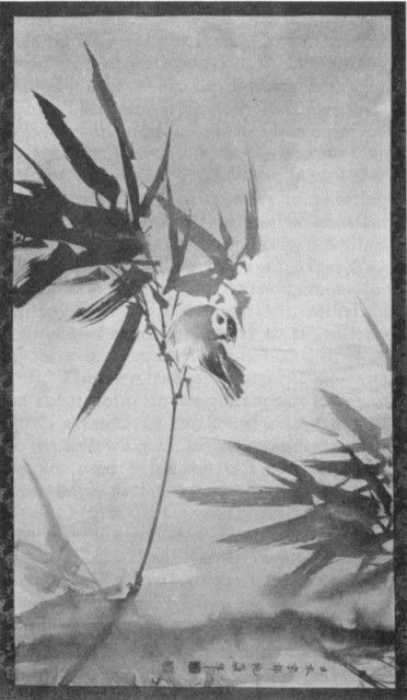 Bamboo, Sparrow and Rain. Plate VII. Bamboo, Sparrow and Rain. Plate VII.