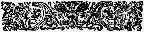 Illustration: decoration2