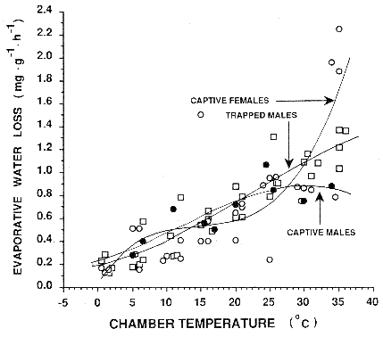 Relationship between evaporative water loss and chamber air temperature for raccoons in summer summer - evap water loss vs temp