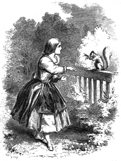 Frontispiece Minnie and the Squirrel.