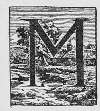M M