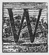 W W