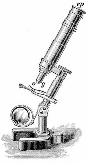 Fig. 14.  Student's microscope. ep, Eye-piece, o, g, Object-glass.