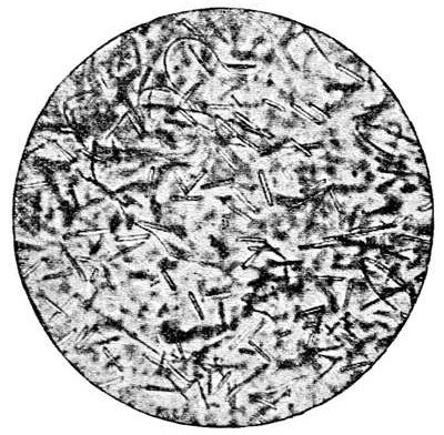 Fig. 42.  A slice of volcanic glass under the microscope, showing well-developed microliths. (After Cohen.)