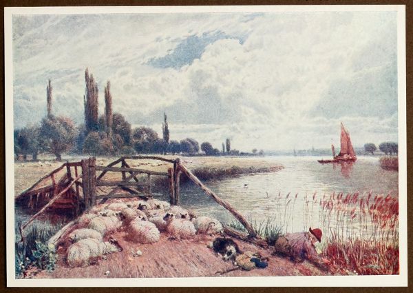 By the Thames