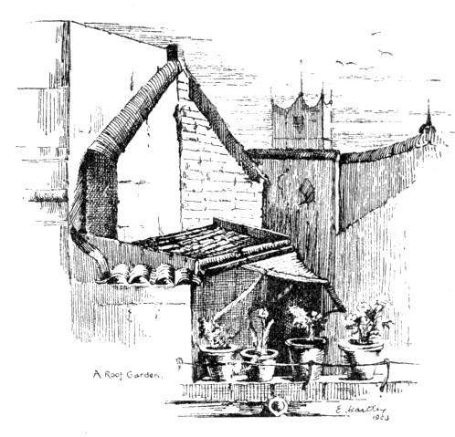A Roof Garden