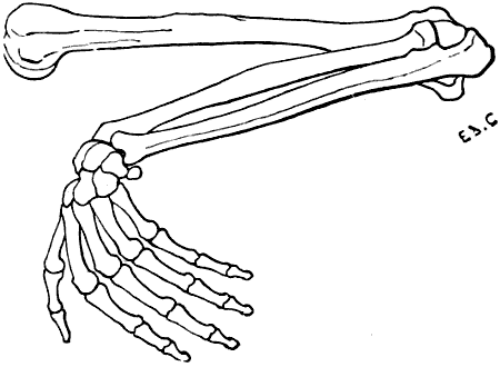 Fig. 32