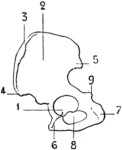 Fig. 43