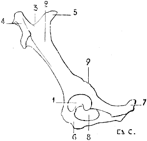 Fig. 44