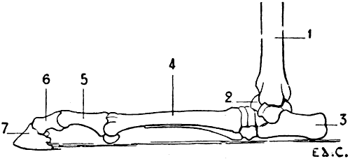 Fig. 47