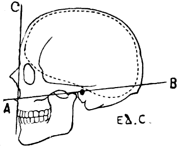 Fig. 56