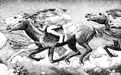 THEN THE WILD MAN, CATCHING MARTIN UP, LEAPED UPON THE BACK OF ONE OF THE HORSES.