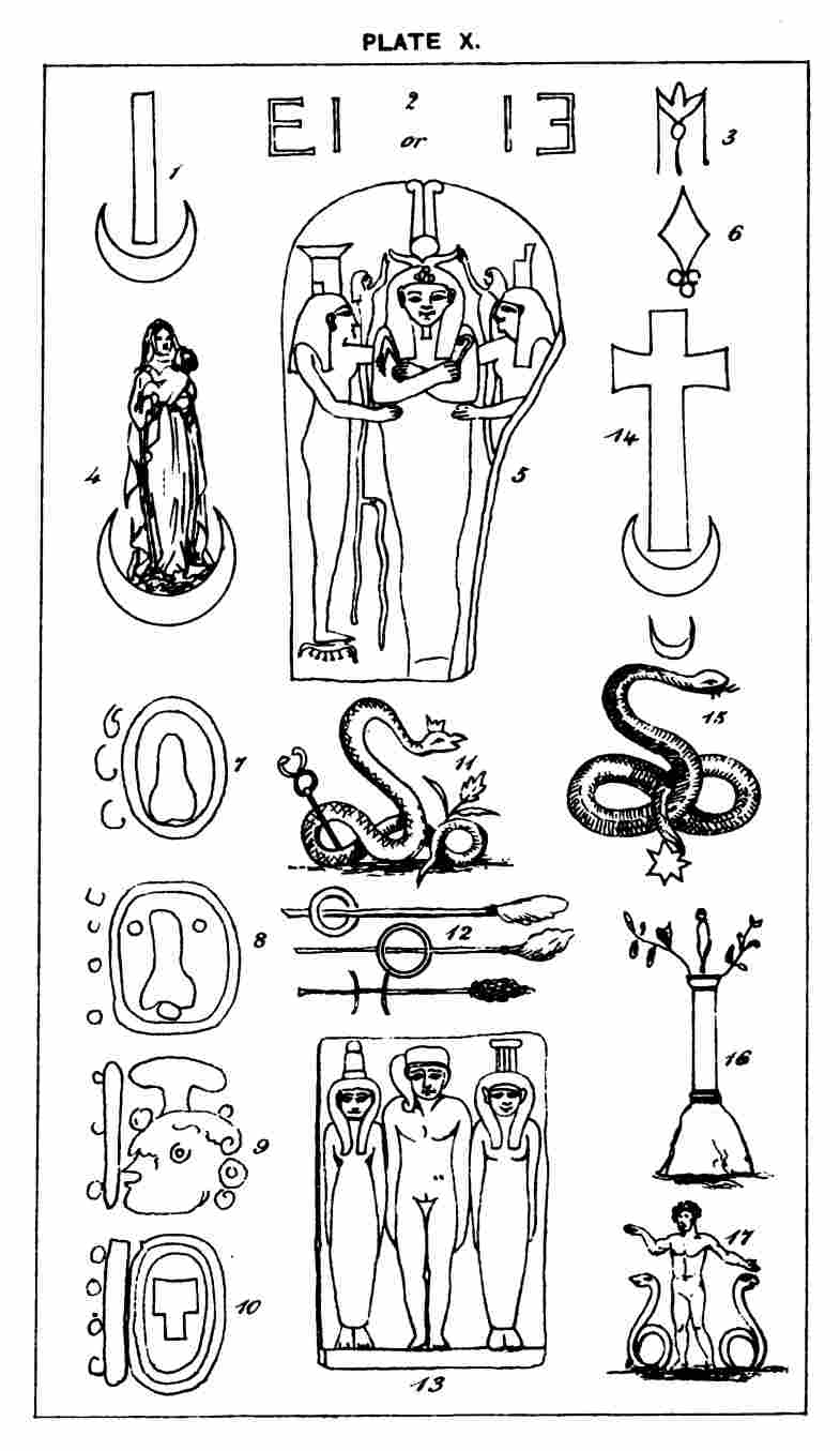 Plate X. 081 