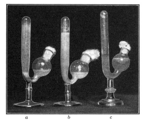 Illustration: Experiment with yeast