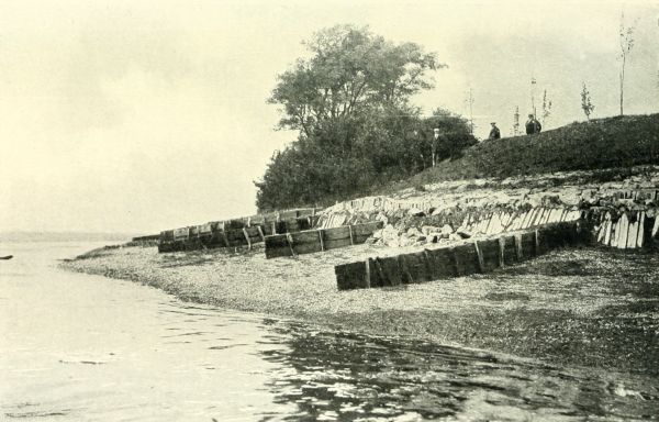 TREE POINT, OSEA ISLAND