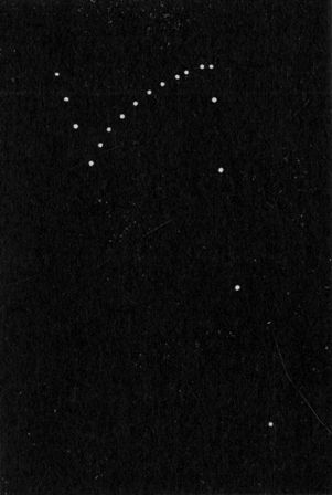 Fig. 214.