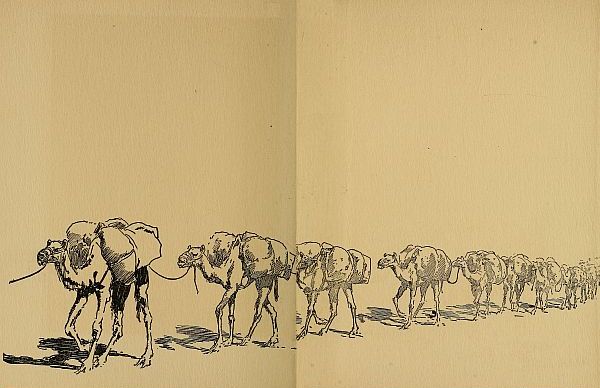 back facing pages, camels marching in a row