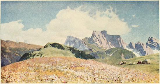 ALPENWIESE, ON THE SEISER ALP