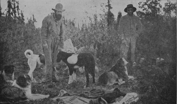 two men and dogs
