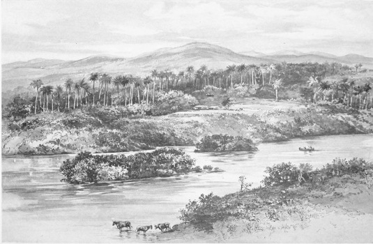 ON THE CAUTO RIVER  The Cauto River, traversing Oriente Province, is the largest stream in Cuba, and is of inestimable value for navigation, for water supply, and for drainage. It is the salient feature of many fine landscape scenes, ranging from the idyllic to the majestic.